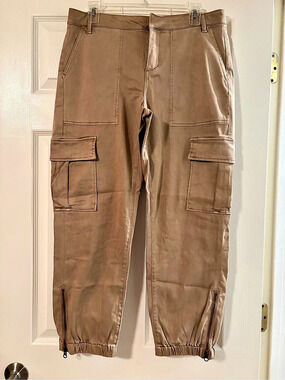 Horizon Cargo Jogger Pants in Brown Like New
